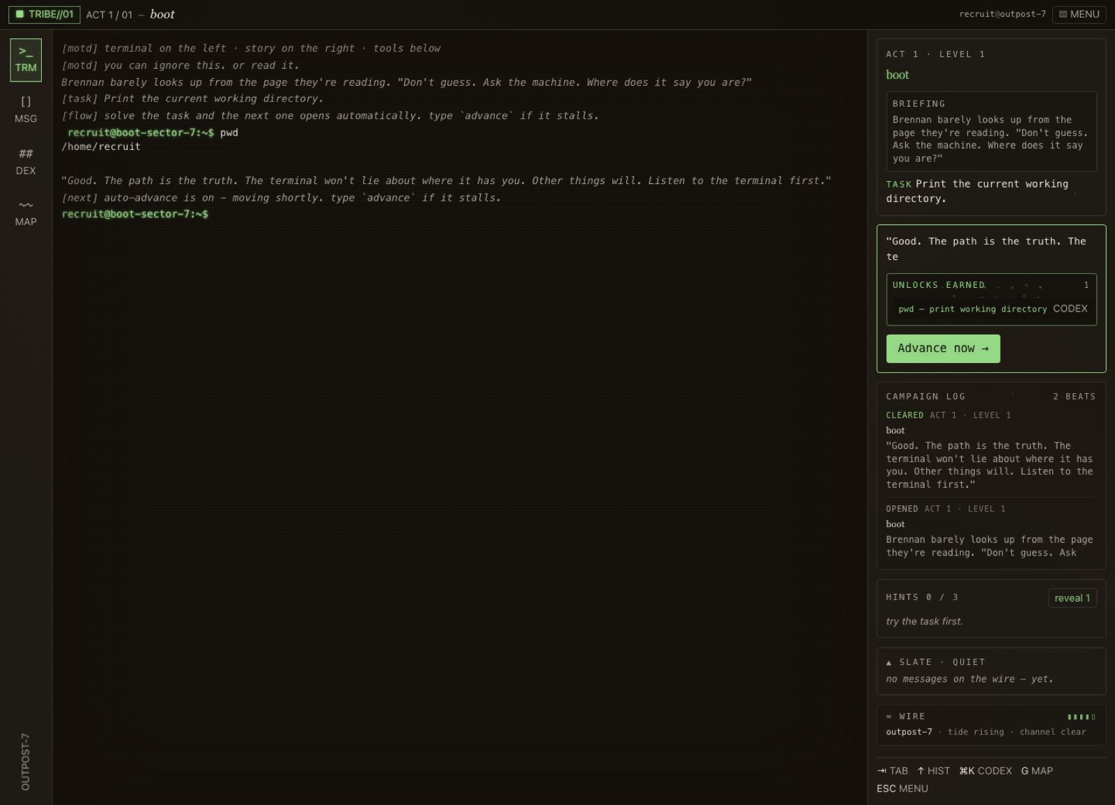 Terminal Tribe command result screen after solving an early campaign task.